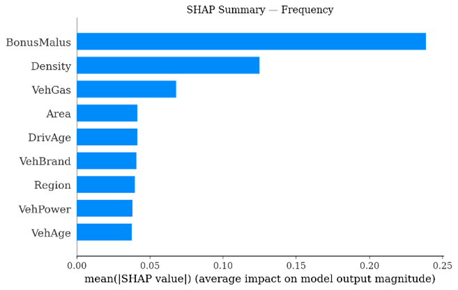 SHAP feature-importance ranking for claim frequency