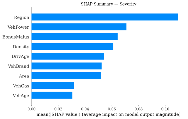 SHAP feature-importance ranking for claim severity